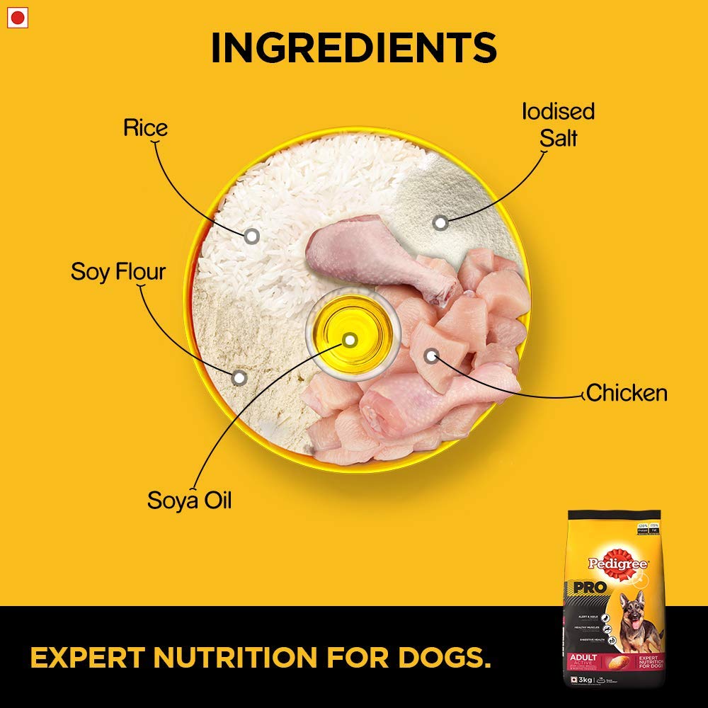 Pedigree Pro Adult Large Breed | Dry Dog Food