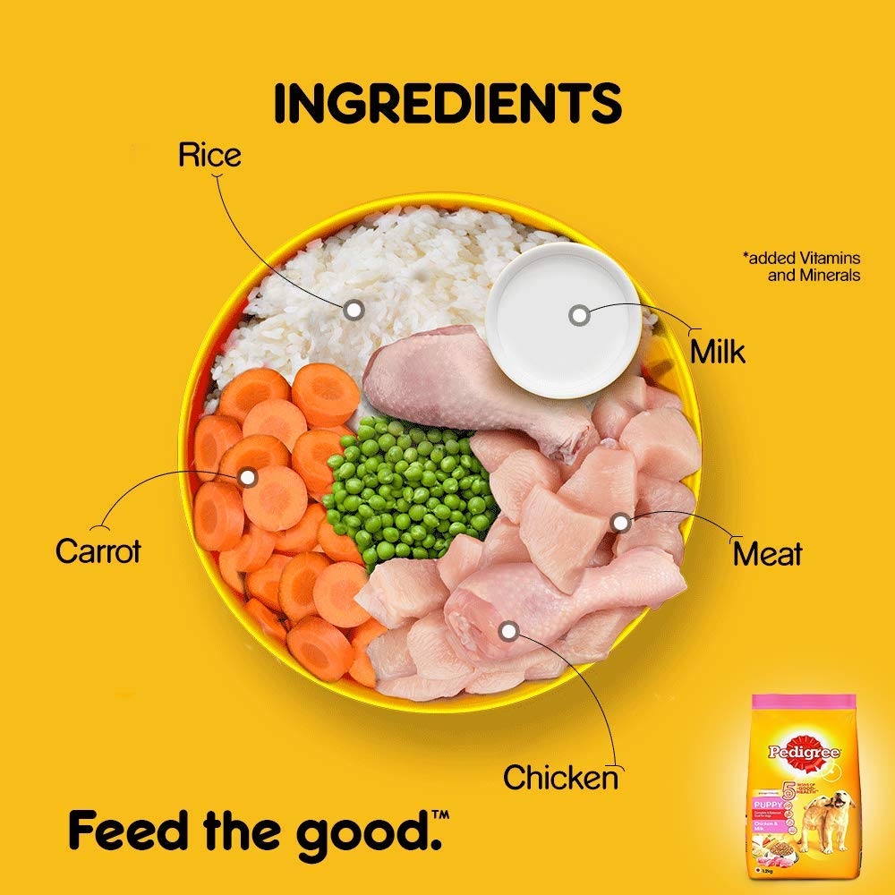 Pedigree Puppy Chicken & Milk | Dry Dog Food