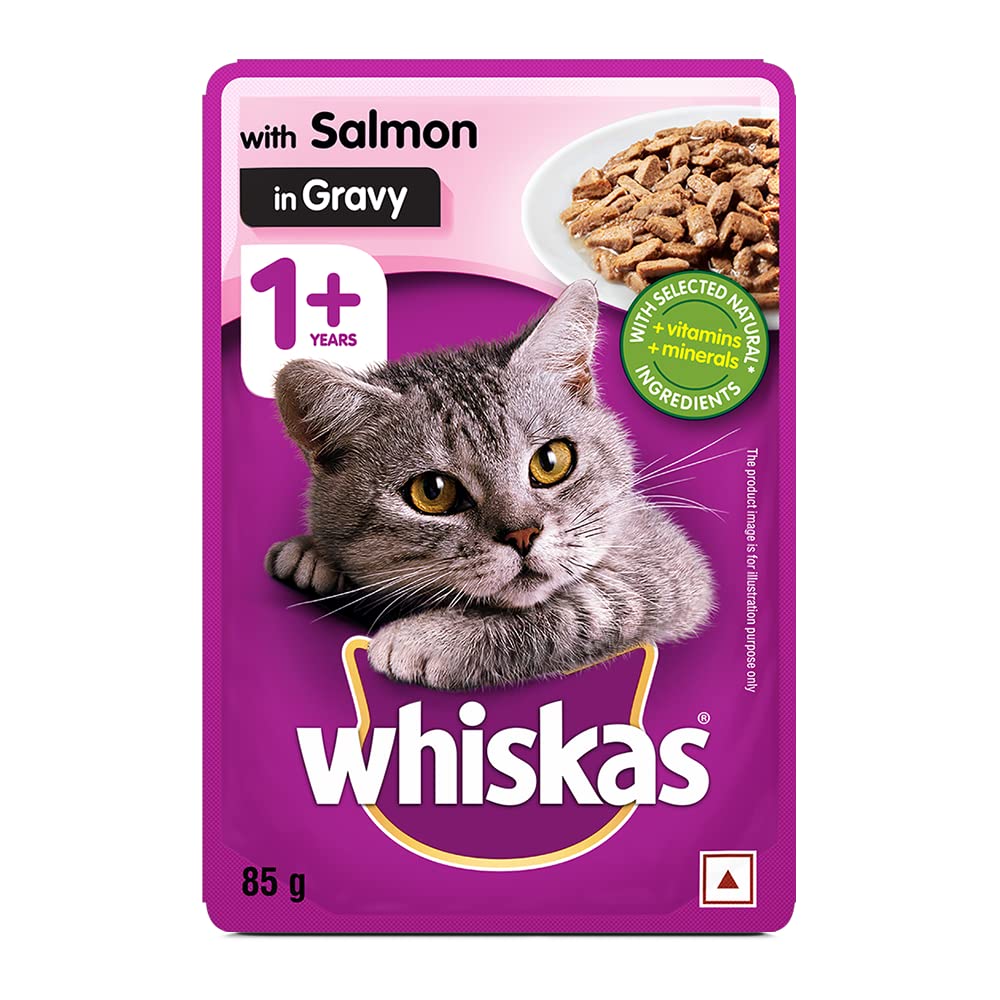 Whiskas Salmon Gravy | Wet Cat Food