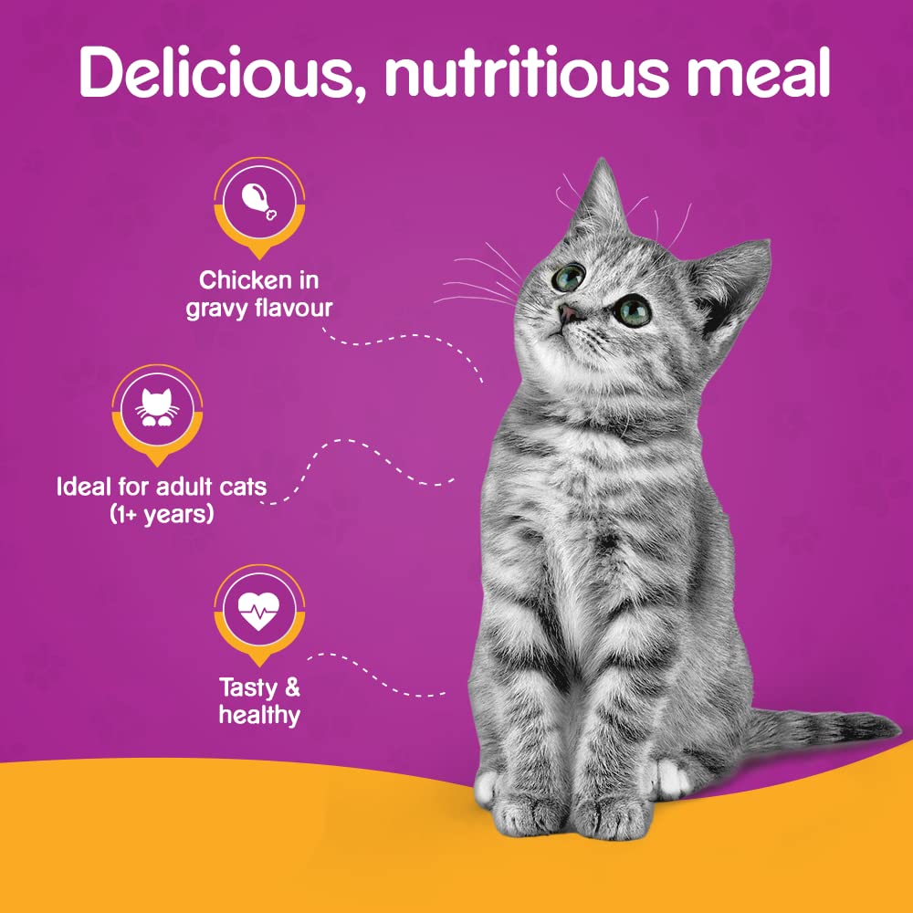 Whiskas Chicken Gravy | Wet Cat Food