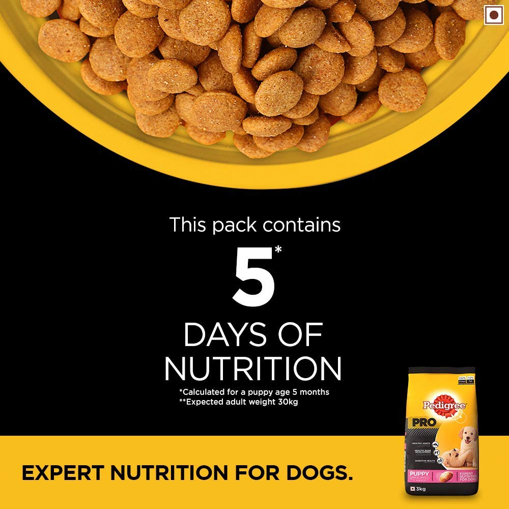 Pedigree Pro Puppy Large Breed | Dry Dog Food