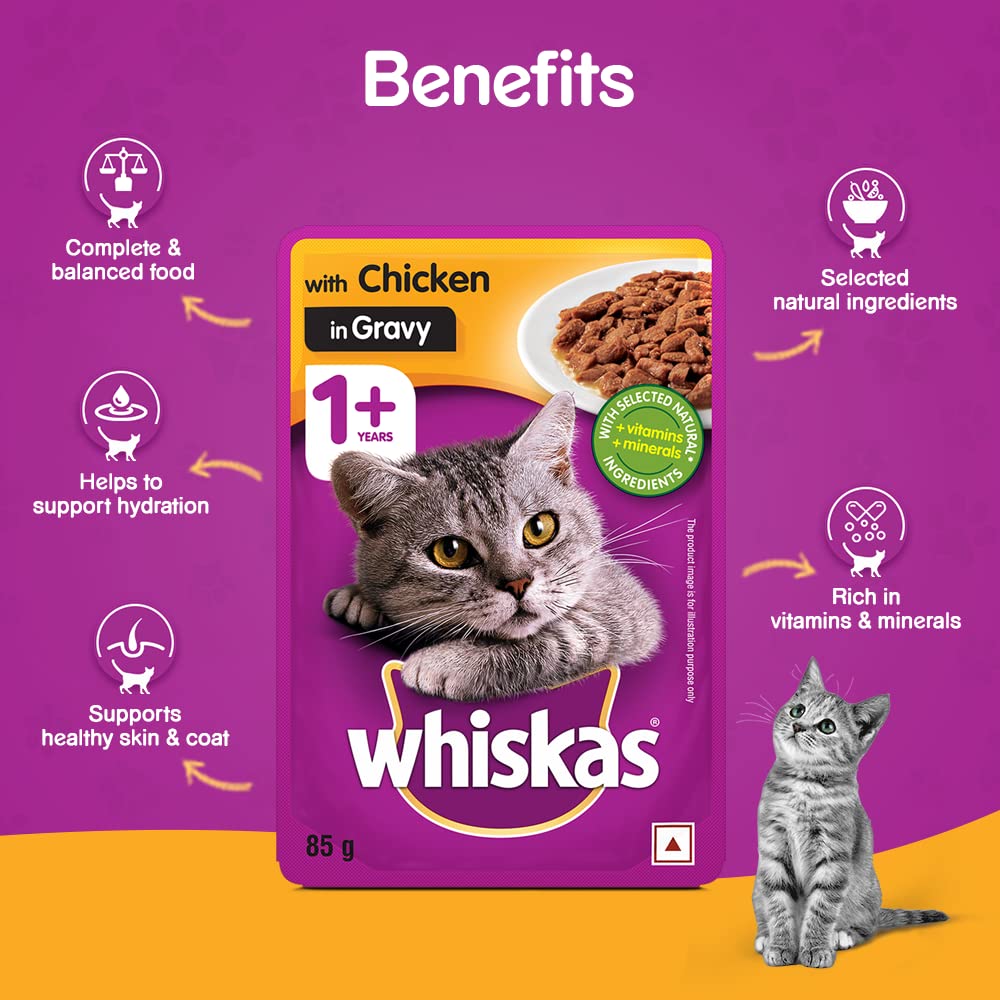 Whiskas Chicken Gravy | Wet Cat Food