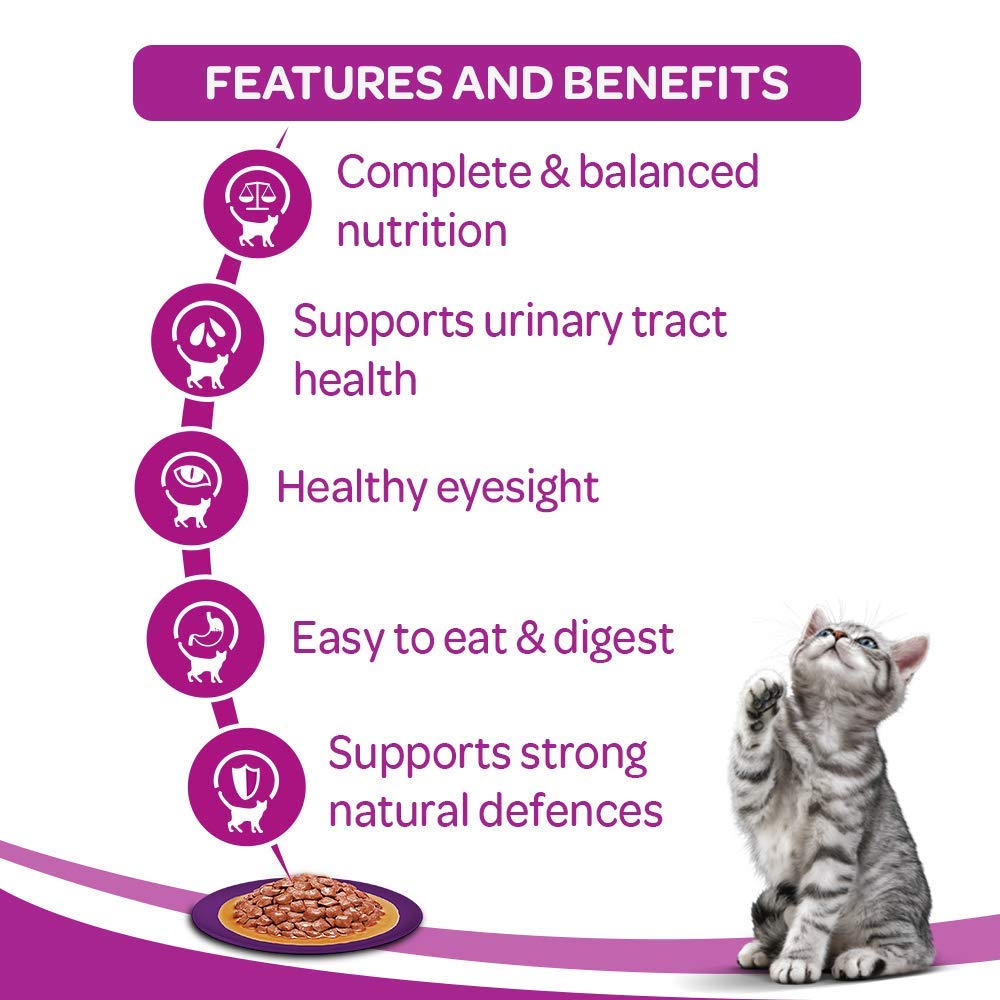 Whiskas Kitten Chicken Gravy | Wet Cat Food