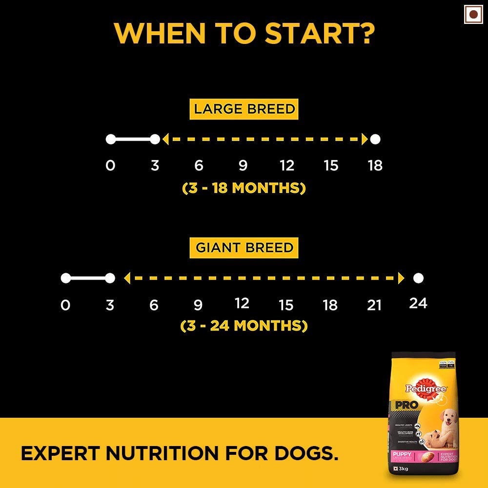 Pedigree Pro Puppy Large Breed | Dry Dog Food