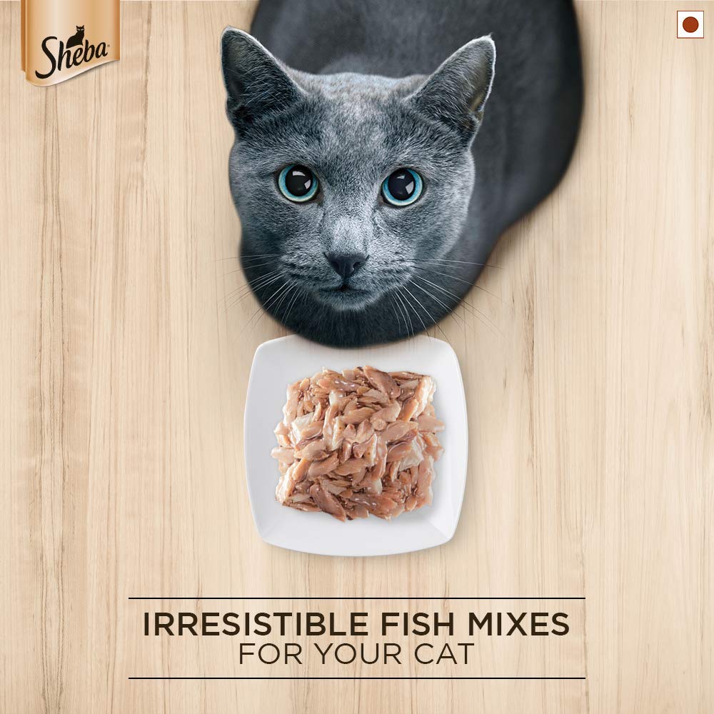 Sheba Maguro & Bream Gravy | Wet Cat Food
