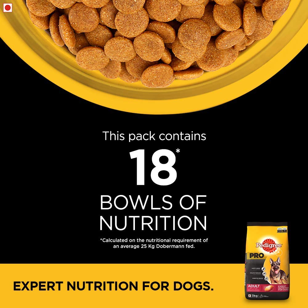 Pedigree Pro Adult Large Breed | Dry Dog Food