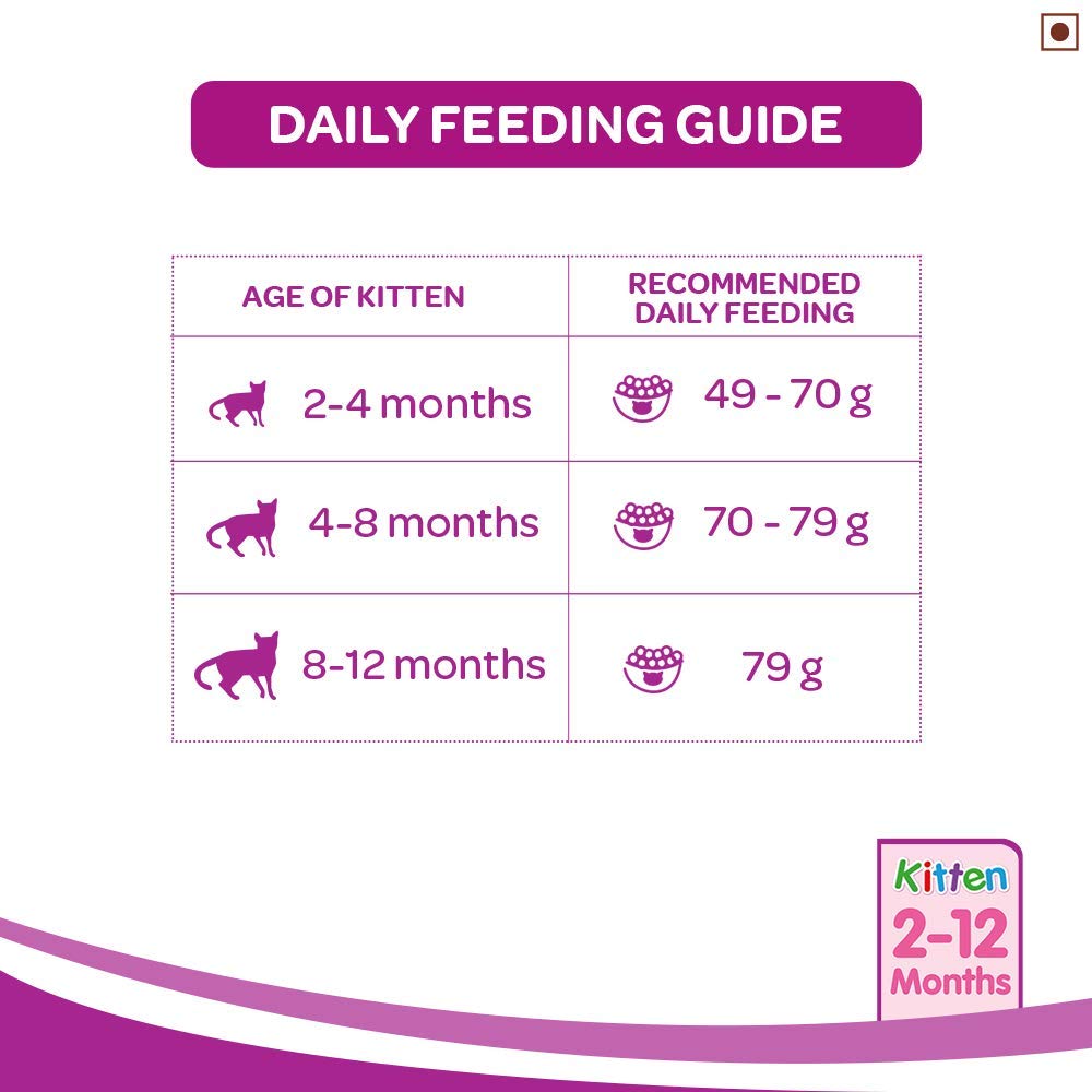 Whiskas Junior Mackerel | Dry Cat Food