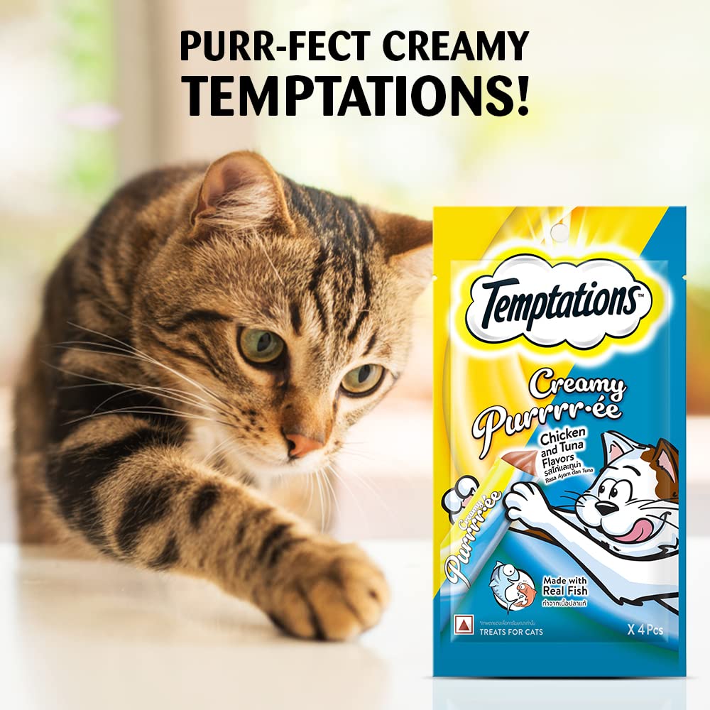 Temptation Creamy Treat Chicken & Tuna - 48 gm | Wet Cat Treats