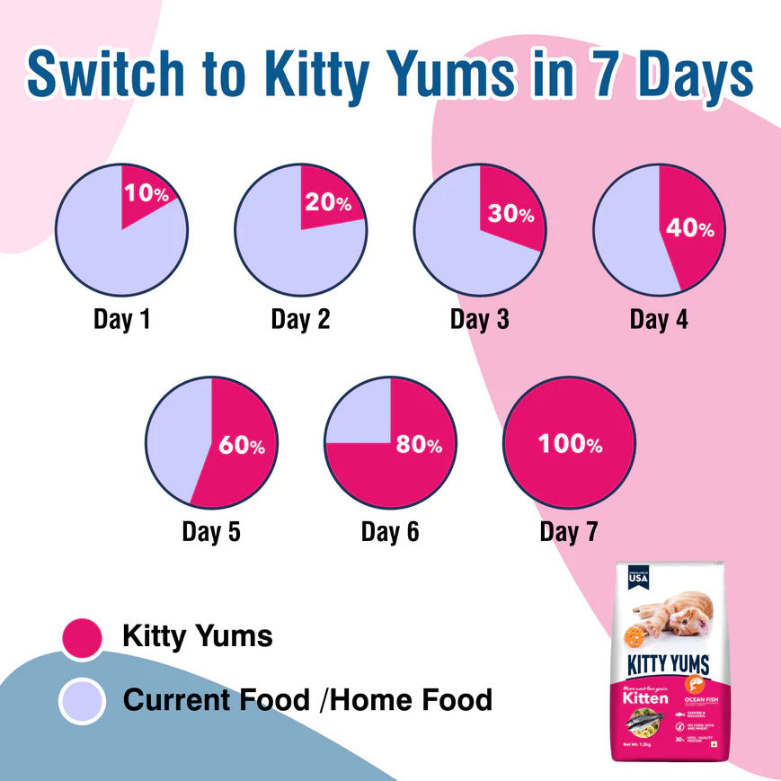 Kitty Yums Kitten Ocean Fish | Dry Cat Food