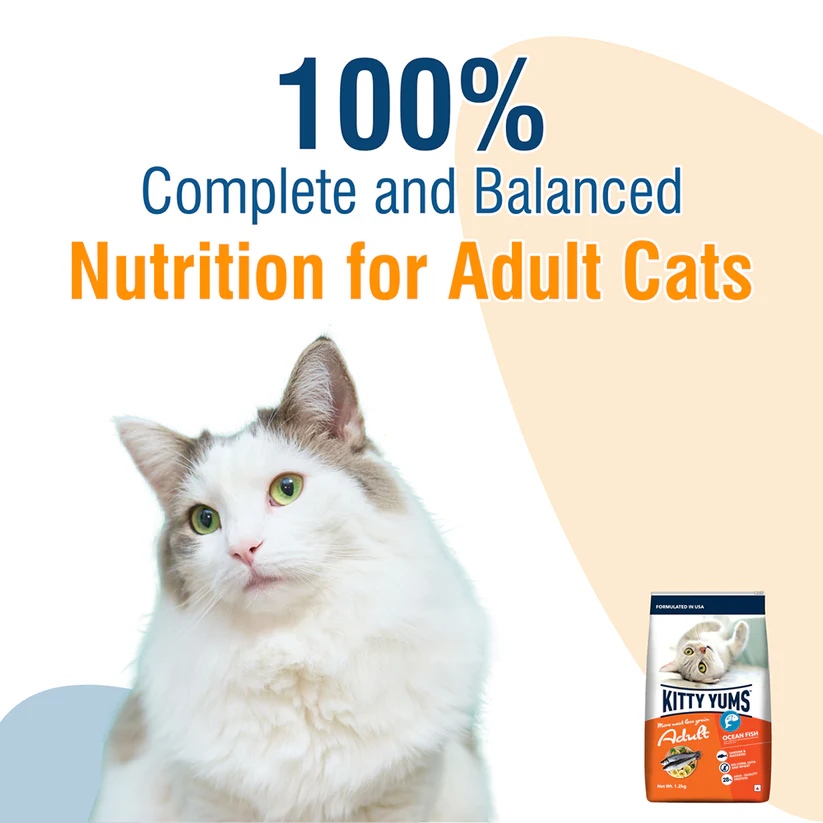 Kitty Yums Adult Ocean Fish | Dry Cat Food