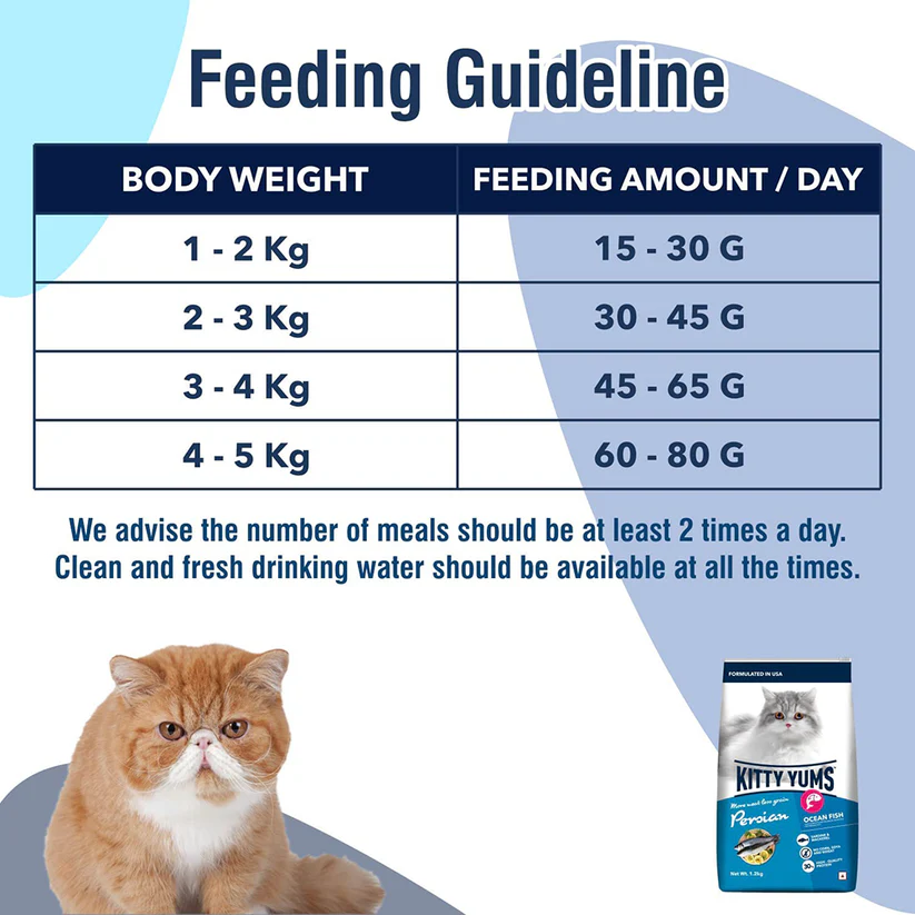 Kitty Yums Persian Adult Ocean Fish | Dry Cat Food