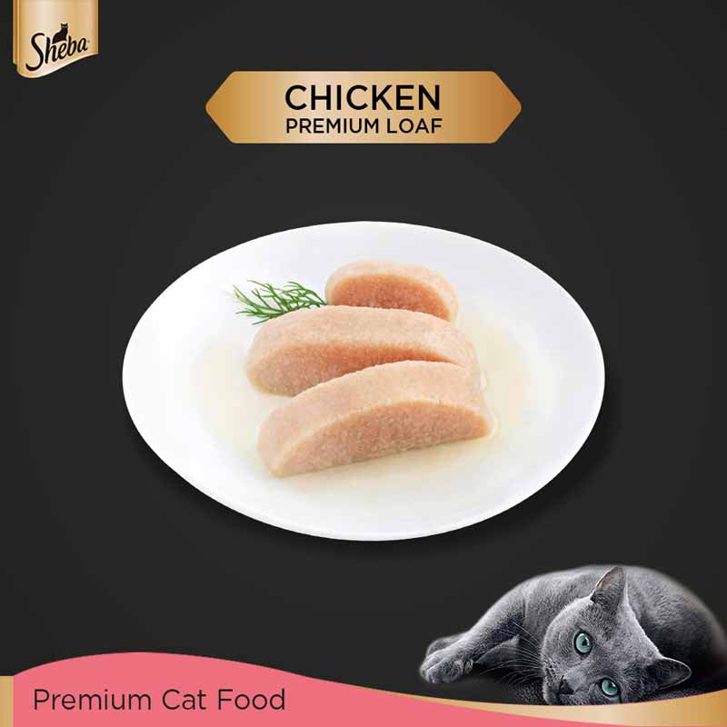 Sheba Kitten Chicken Loaf | Wet Cat Food