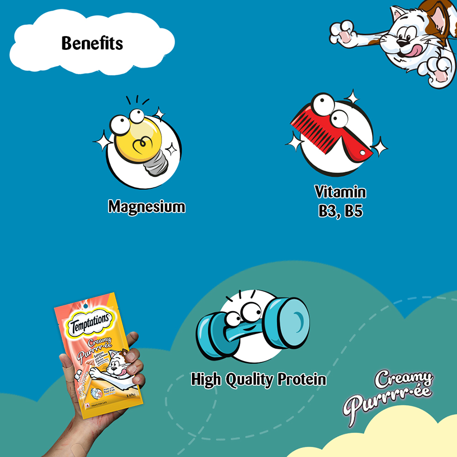 Temptation Creamy Treat Salmon & Cheese - 48 gm | Wet Cat Treats