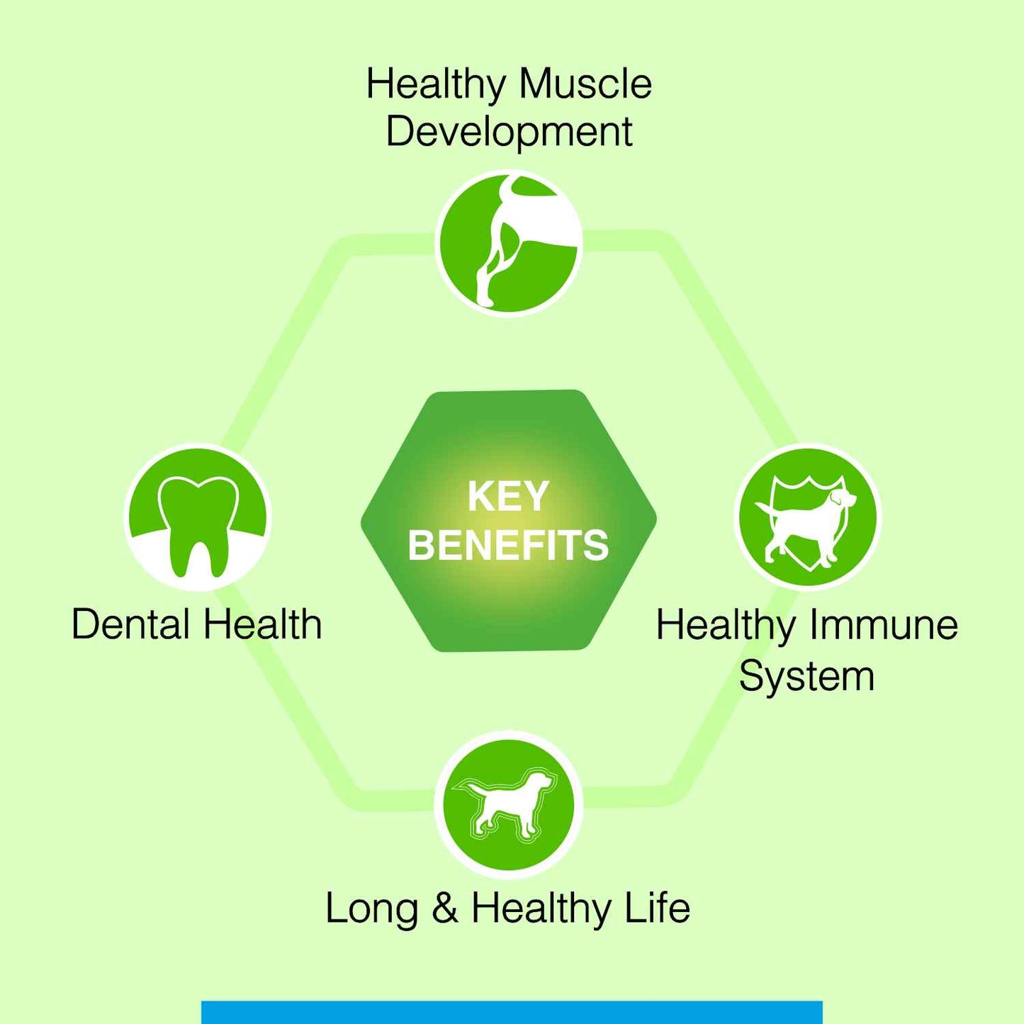 Canine Creek Adult | Dry Dog Food