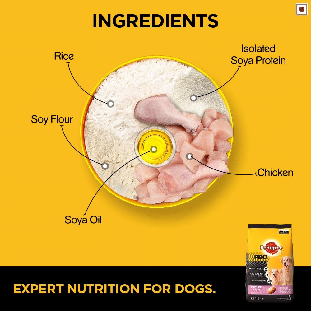 Pedigree Pro Starter | Dry Dog Food