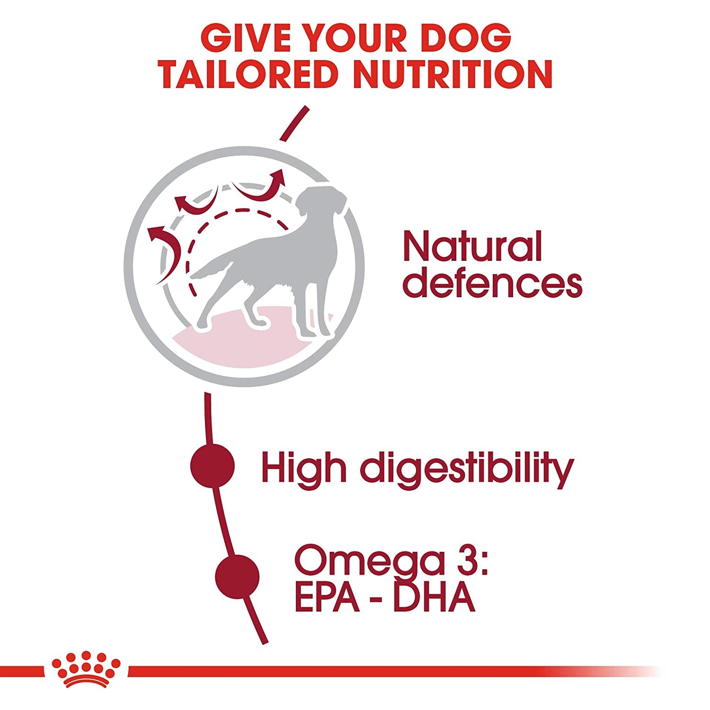 Royal Canin Medium Adult | Dry Dog Food