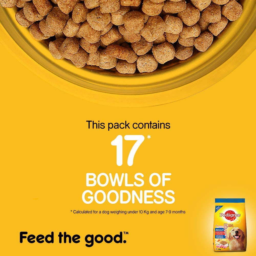 Pedigree Adult Chicken & Vegetable | Dry Dog Food