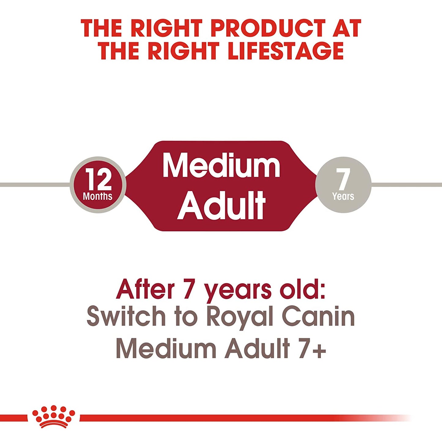 Royal Canin Medium Adult | Dry Dog Food