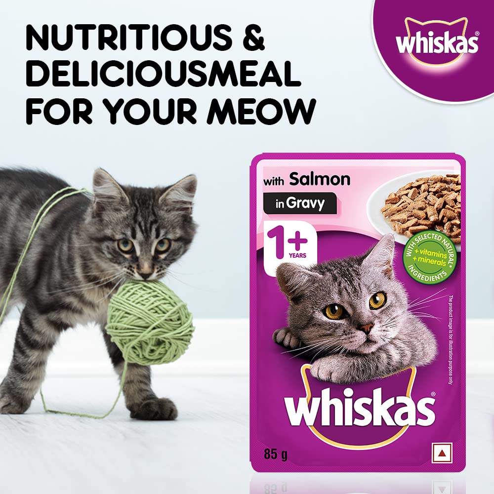 Whiskas Salmon Gravy | Wet Cat Food