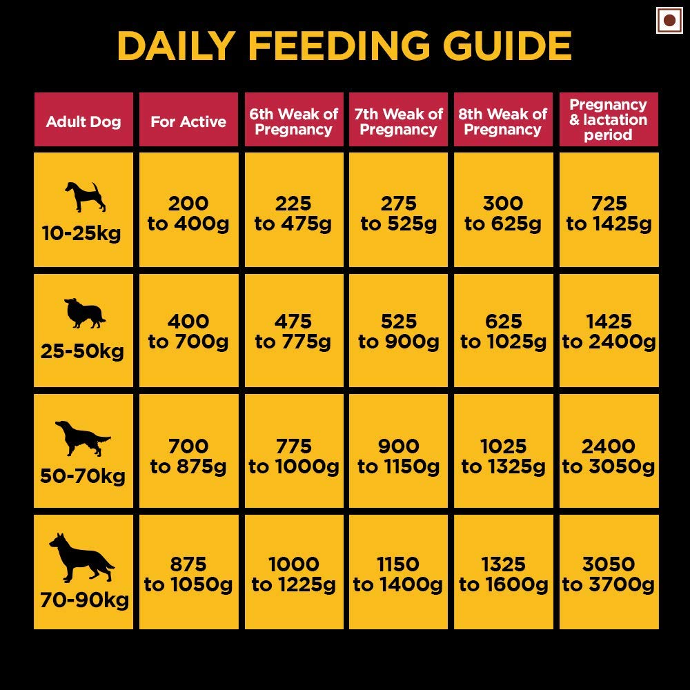 Pedigree Pro Adult Large Breed | Dry Dog Food