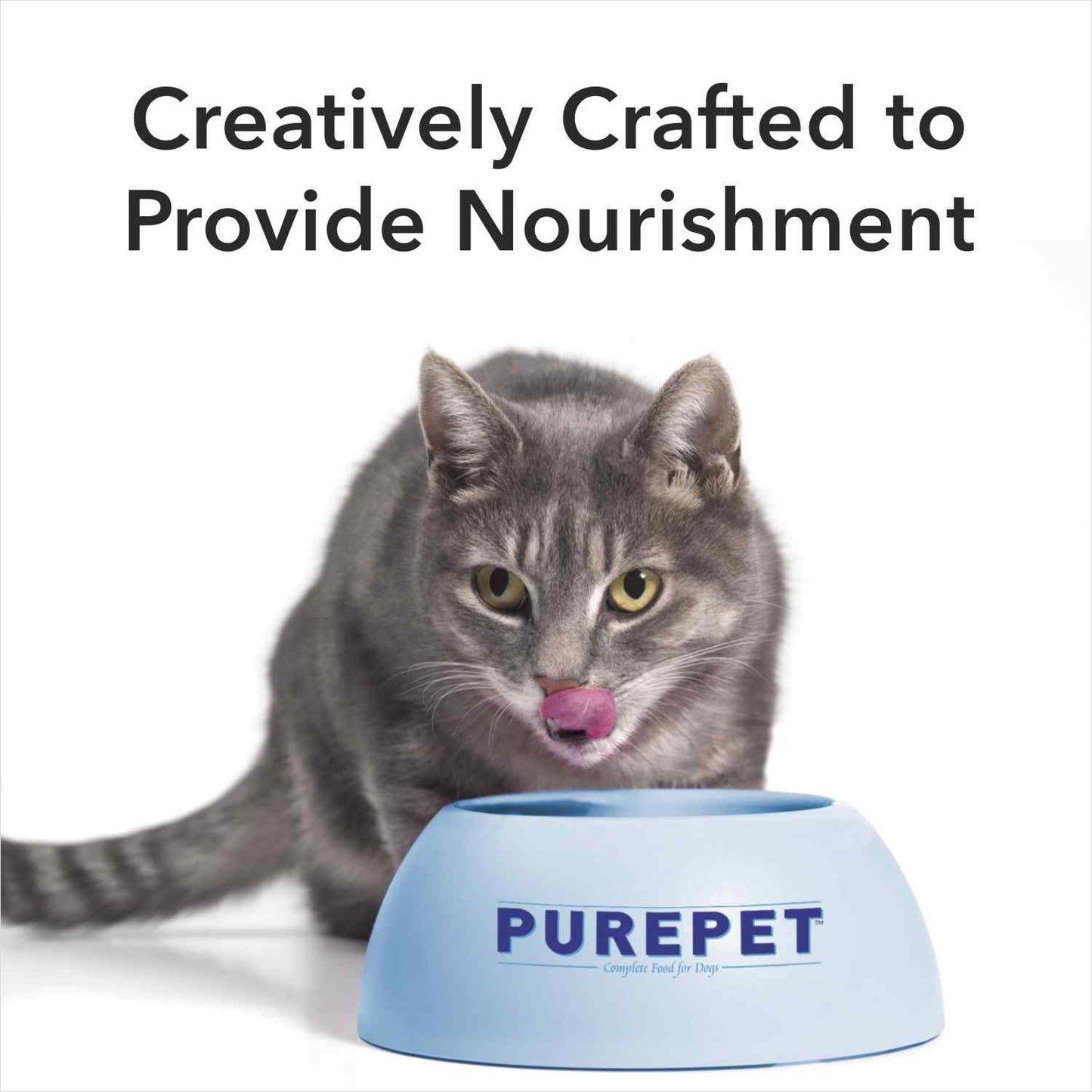 Purepet Cat Chicken & Liver Gravy | Wet Cat Food