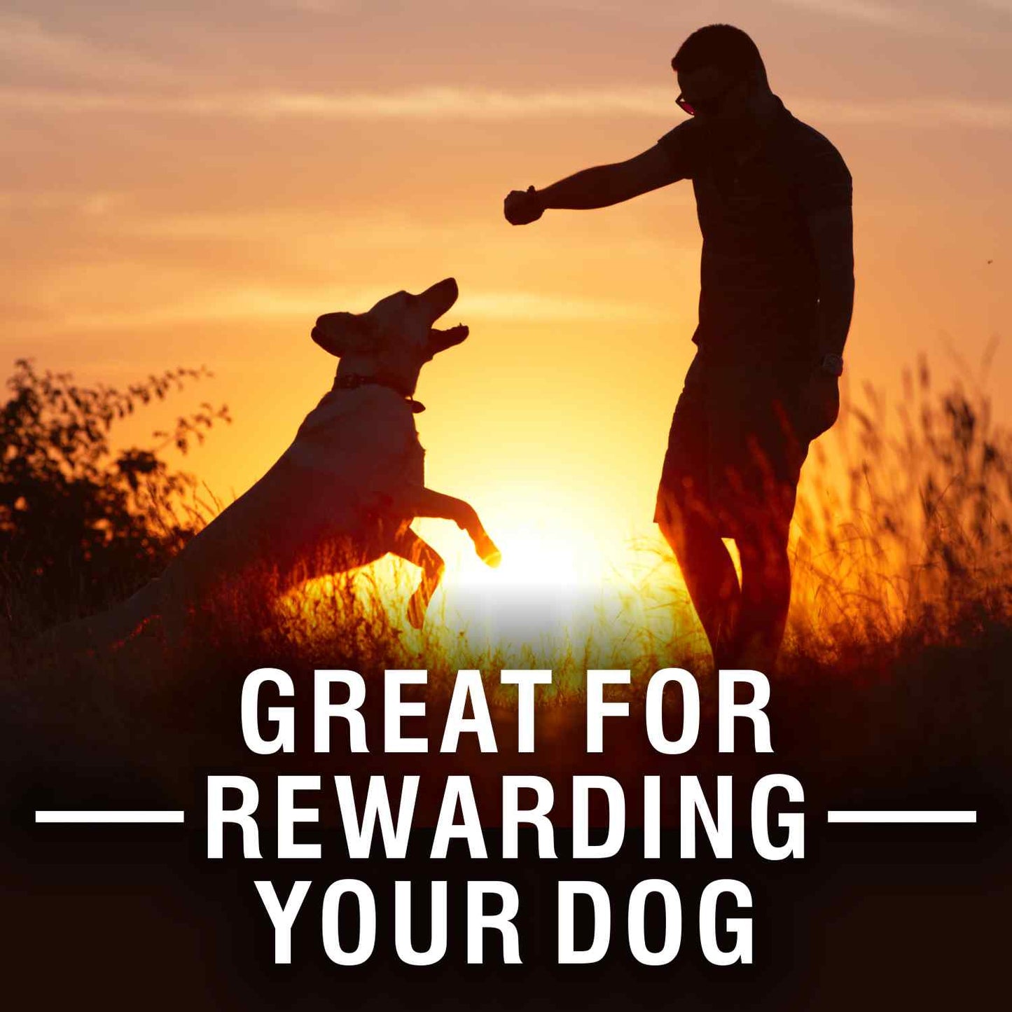 Purepet Biscuit Milk Flavour | Dry Dog Treats