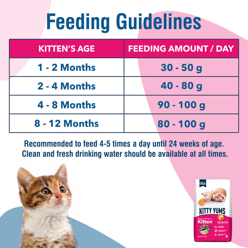 Kitty Yums Kitten Ocean Fish | Dry Cat Food
