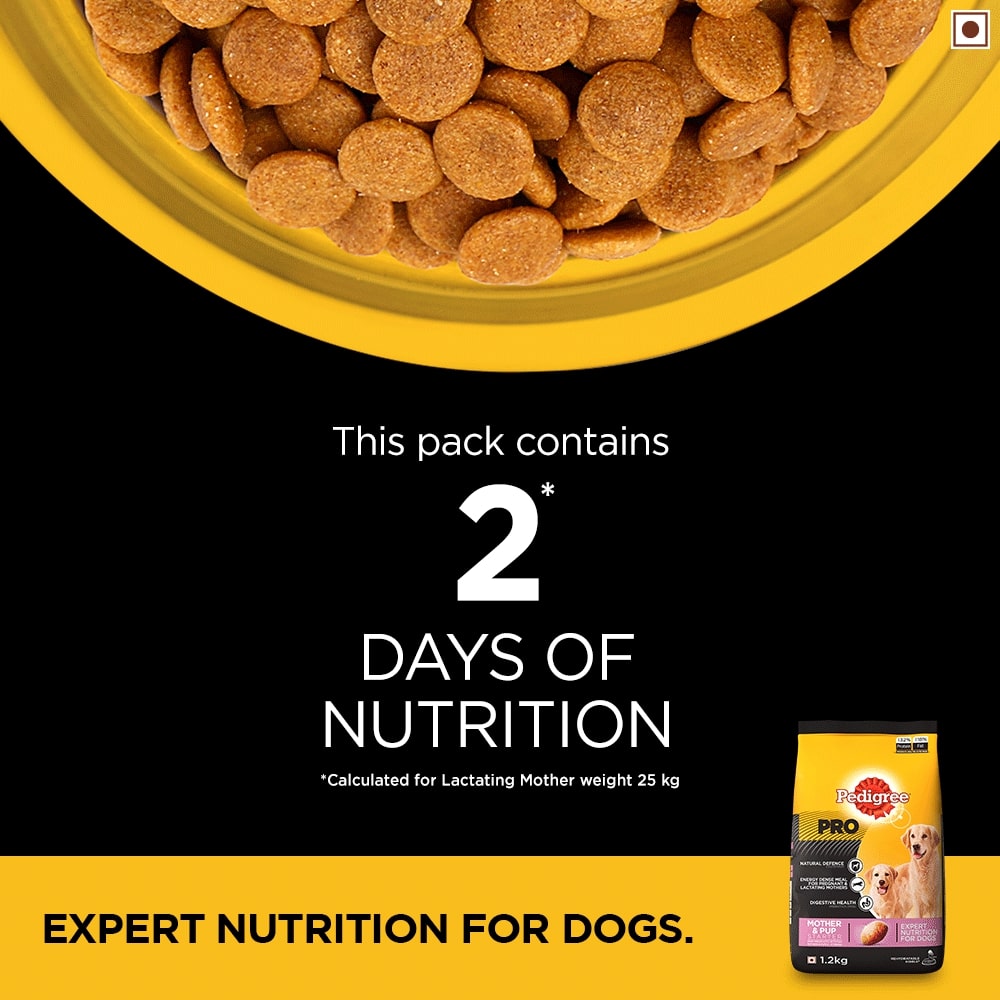 Pedigree Pro Starter | Dry Dog Food
