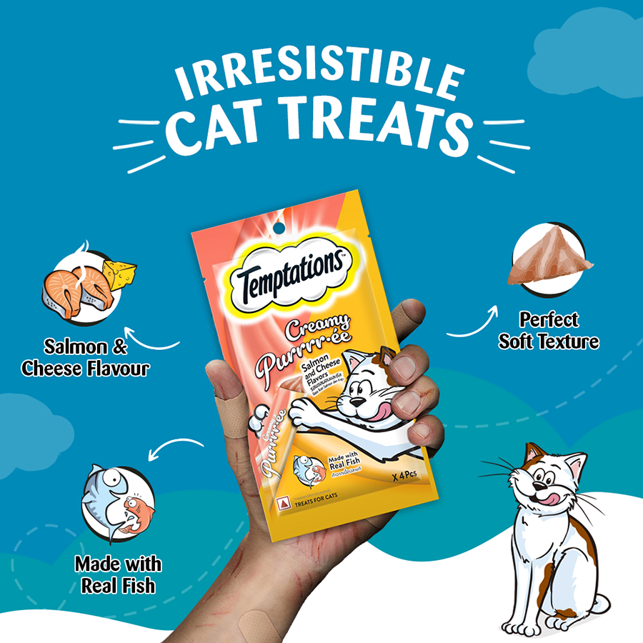 Temptation Creamy Treat Salmon & Cheese - 48 gm | Wet Cat Treats