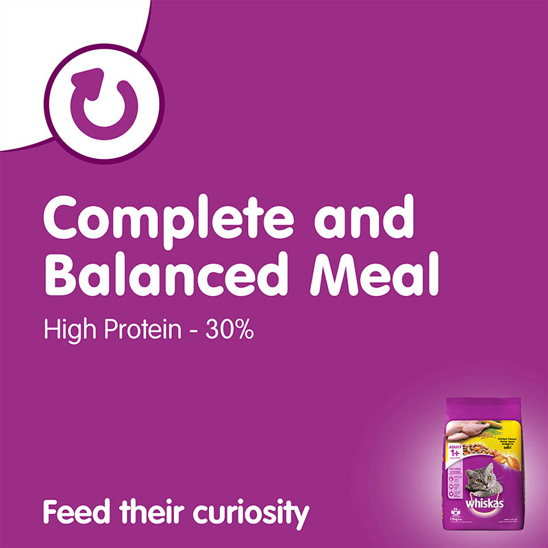 Whiskas Adult Chicken | Dry Cat Food