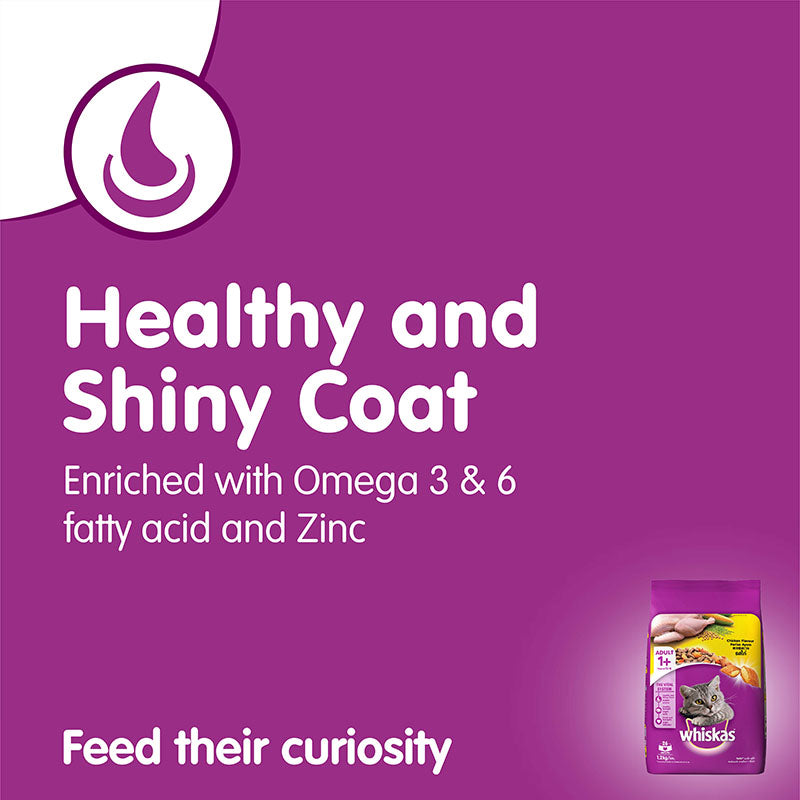 Whiskas Adult Chicken | Dry Cat Food