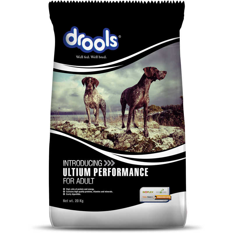Drools Ultium Adult | Dry Dog Food
