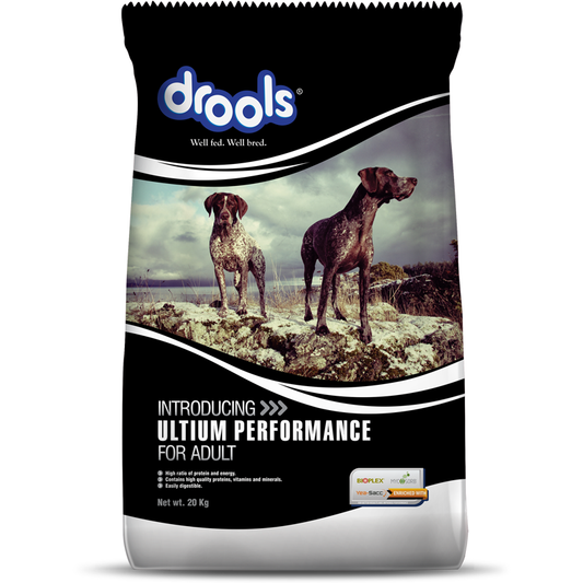 Drools Ultium Adult | Dry Dog Food