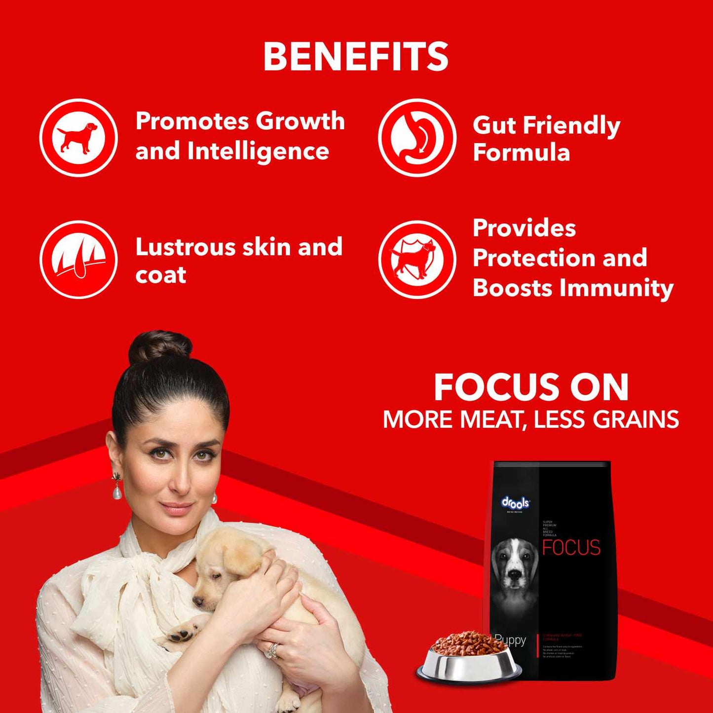 Drools Focus Puppy | Dry Dog Food