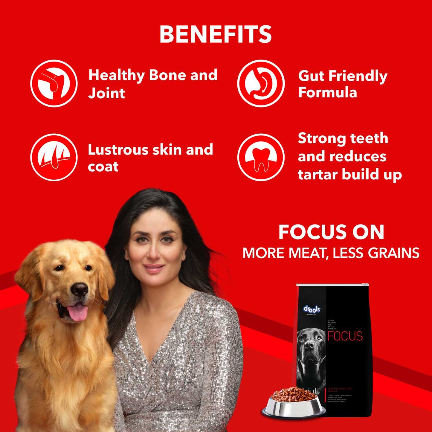 Drools Focus Adult | Dry Dog Food
