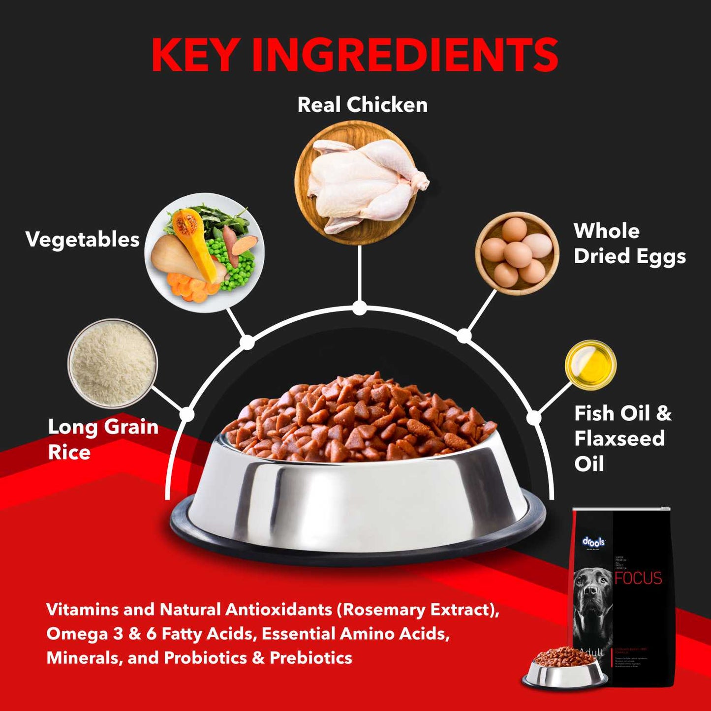 Drools Focus Adult | Dry Dog Food