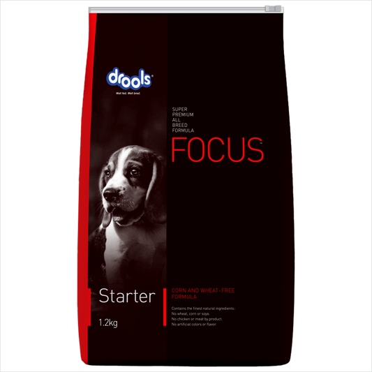 Drools Focus Starter | Dry Dog Food