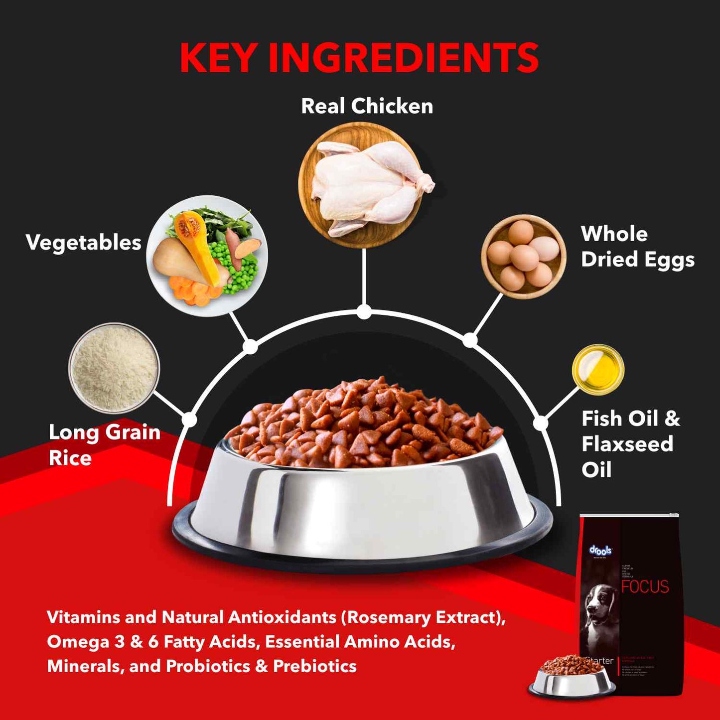 Drools Focus Starter | Dry Dog Food