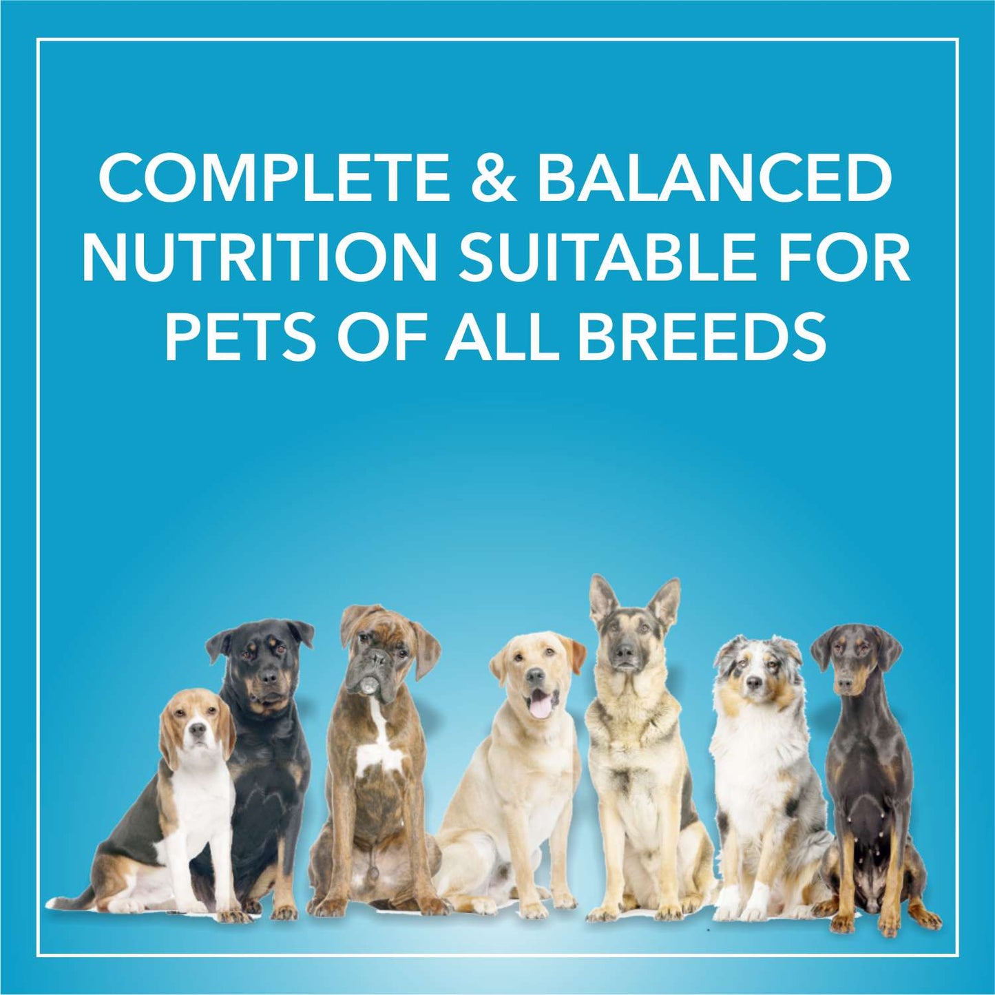 Purepet Adult Chicken & Vegetable | Dry Dog Food
