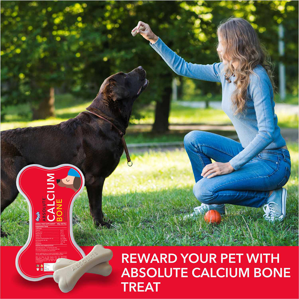 Drools Absolute Calcium Bone | Dry Dog Treats