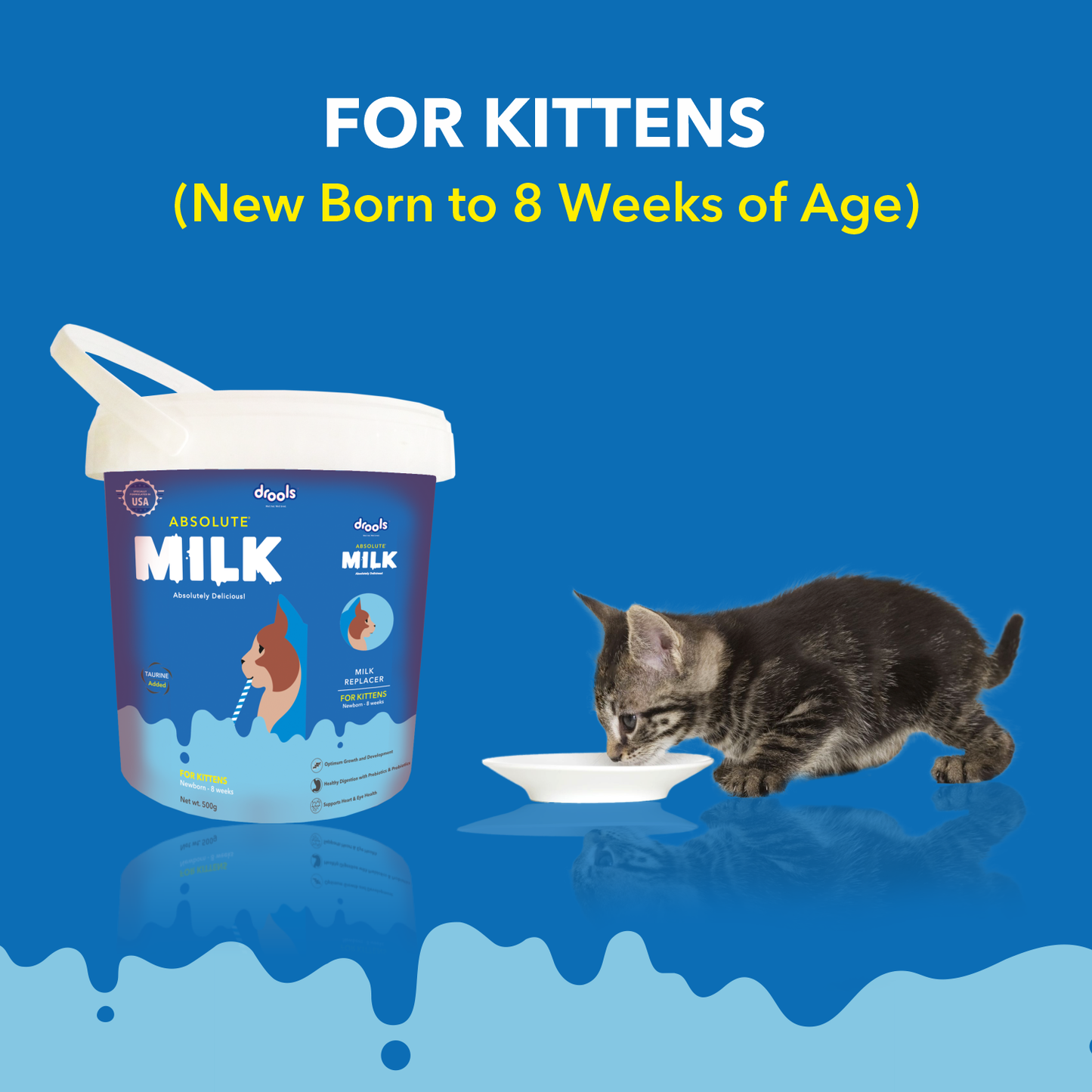 Drools Absolute Milk for Kittens