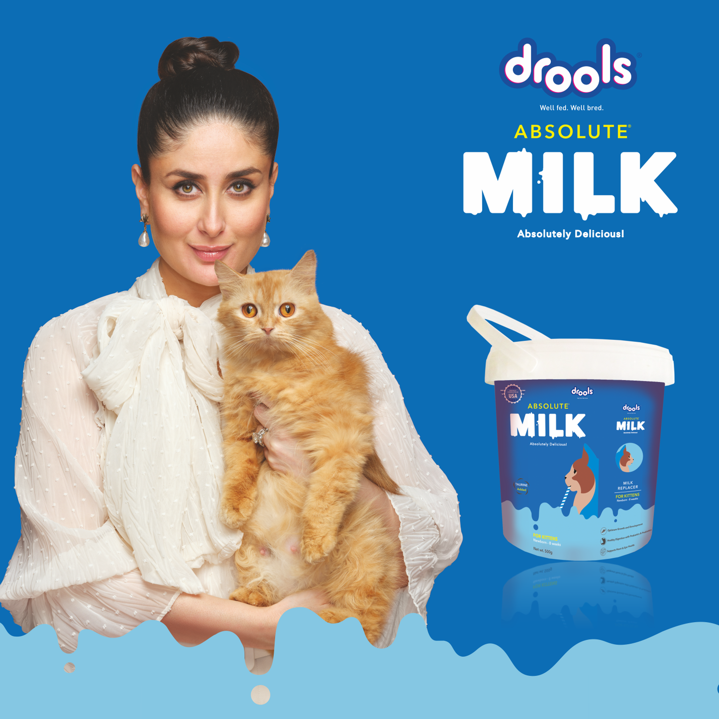 Drools Absolute Milk for Kittens
