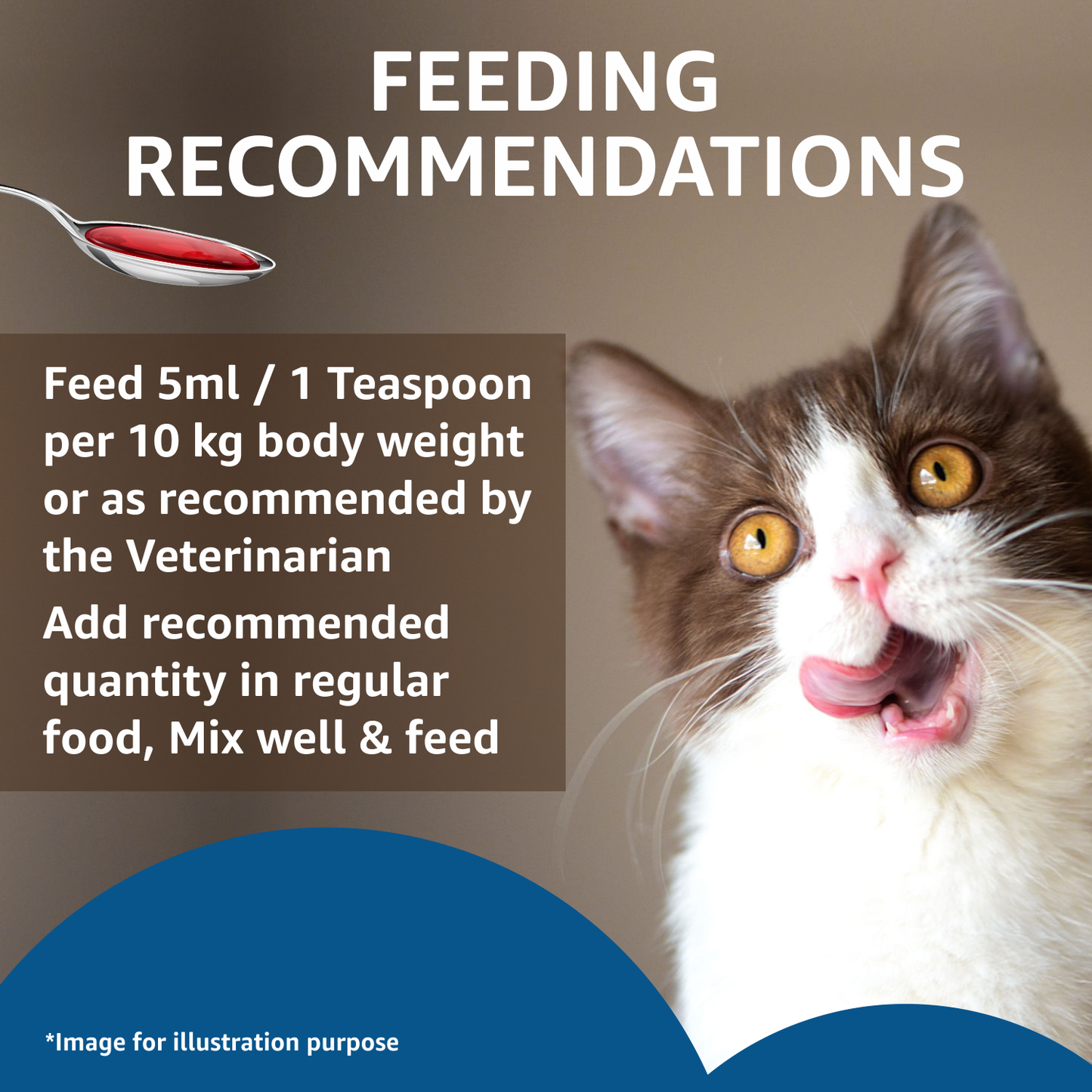 Drools Absolute Salmon Oil for Cats