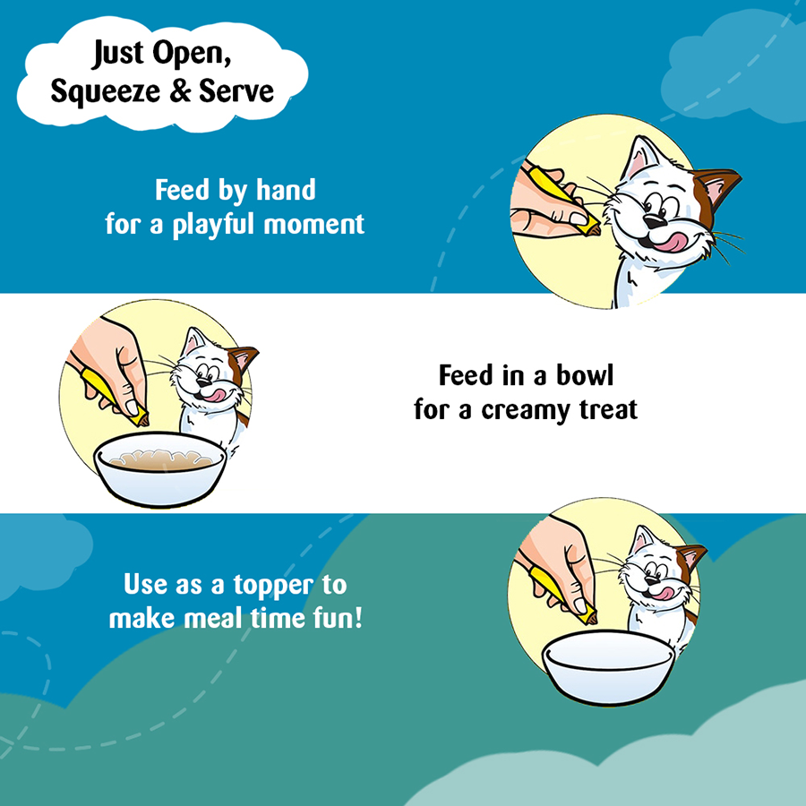 Temptation Creamy Treat Salmon & Cheese - 48 gm | Wet Cat Treats