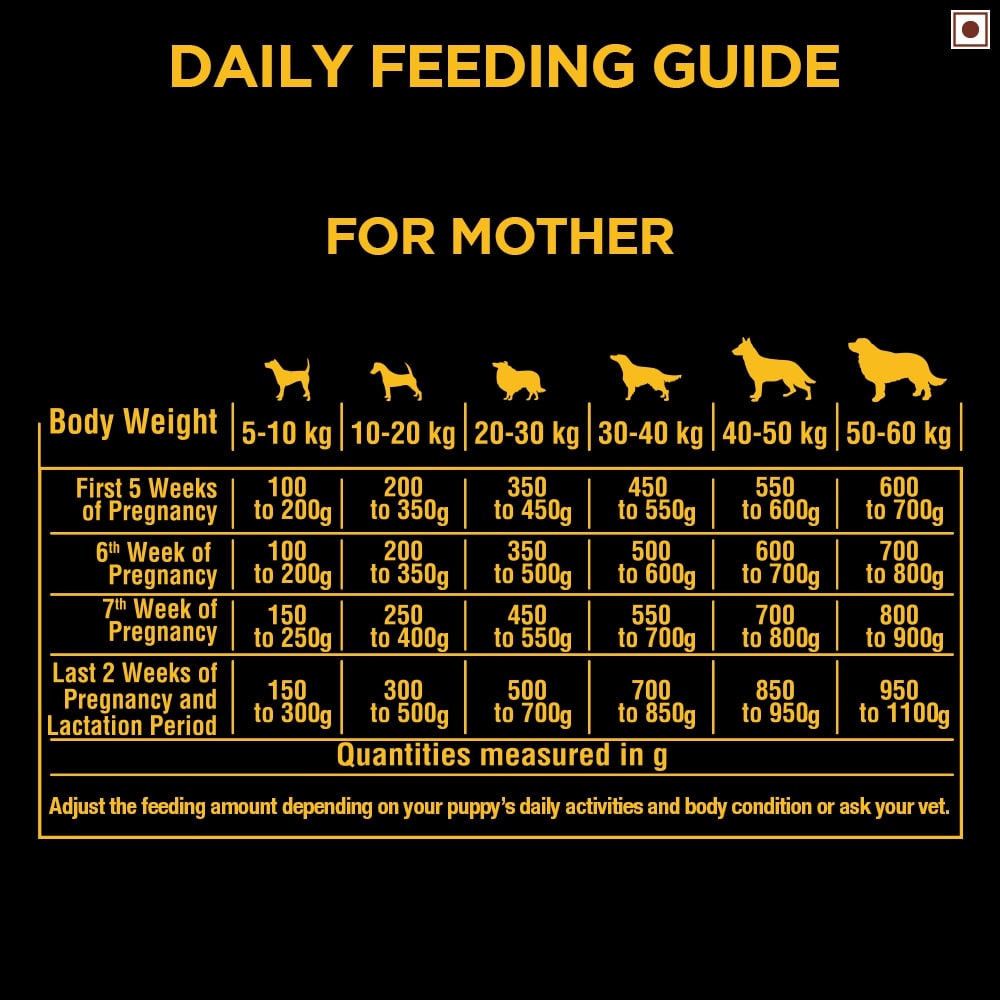 Pedigree Pro Starter | Dry Dog Food