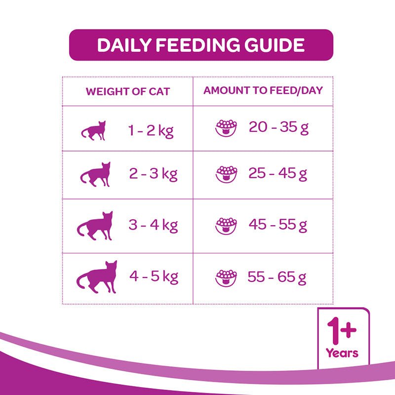 Whiskas Adult Ocean Fish | Dry Cat Food