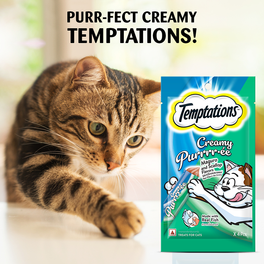 Temptation Creamy Treat Maguro & Scallop - 48 gm | Wet Cat Treats