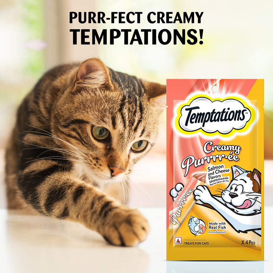 Temptation Creamy Treat Salmon & Cheese - 48 gm | Wet Cat Treats