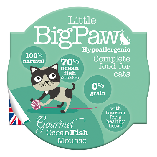 Little BigPaw Gourmet Ocean Fish Mousse