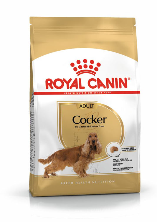 Royal Canin Cocker Adult | Dry Dog Food
